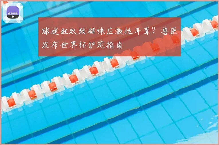 球迷狂欢致猫咪应激性耳聋？兽医发布世界杯护宠指南