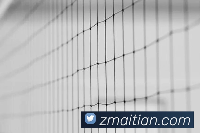 App Interface Preview